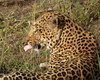 15 days uganda wildlife and activity holiday wD3F7wGDQy.jpg