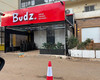 budz 1740433110.jpg