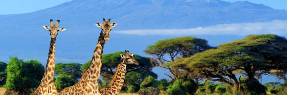 9 raisons de s'envoler au Kenya 