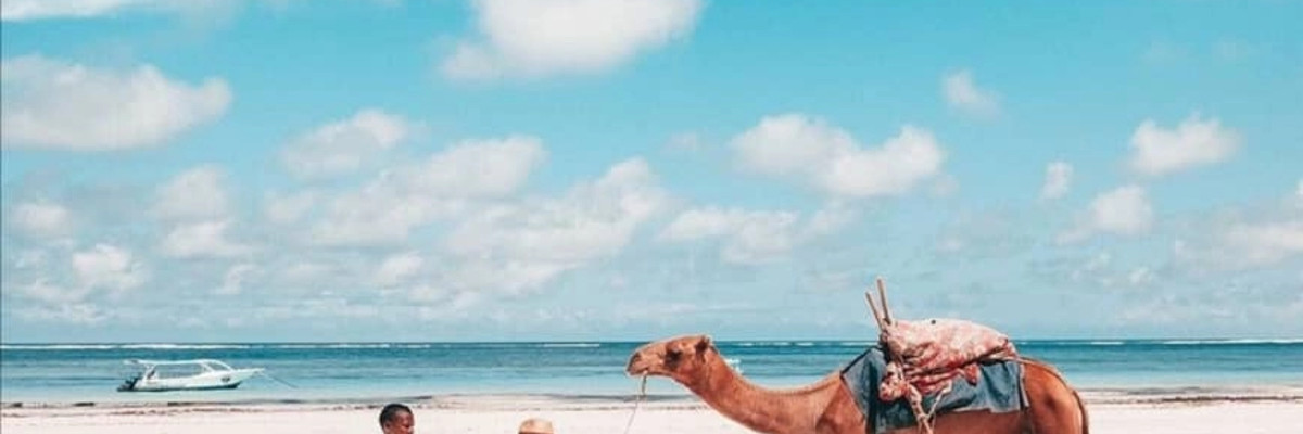 5 Raisons de visiter la Tanzanie