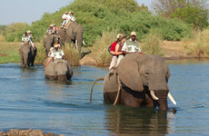 Experience an elephant ride safari - mukuni big 5 Livingstone