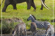 9 Days Wilderness Botswana and Victoria Falls from Windhoek (Lodging) Maun