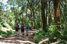 6 days mount kilimanjaro trekking via machame route Moshi