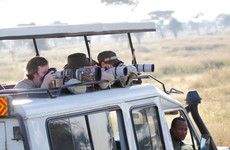 8 DAY TANZANIA BIRDS WATCHING SAFARI Arusha