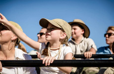 10 days wildebeest migration crossing mara river. Arusha