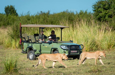 Mosi-oa-tunya national park, livingstone – game drive Livingstone