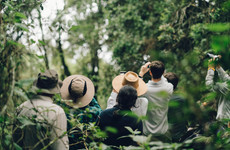 7 days classic birding tour uganda Kampala