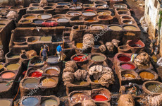 Fez tour guide Fes