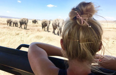 4 day tanzania classic safari - tarangire, serengeti & ngorongoro crater Arusha