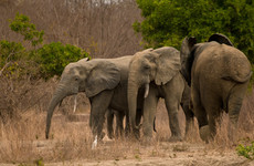 The best of ghana, 12 days Accra