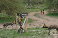 3days Selous Game Reserve Dar es Salaam