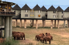 4-day amboseli, tsavo west & tsavo east safari adventure Nairobi