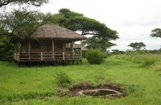 5 Day Budget Wildlife Safari Dar es Salaam