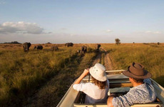 Migration & zanzibar holiday | 11 days Arusha