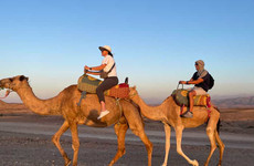 Agafay desert camel ride with dinner and live music. Marrakech