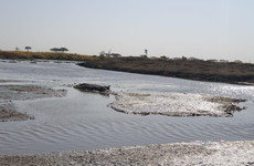 6 days tanzania private safari Moshi