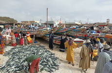 The best of senegal,8 days Accra