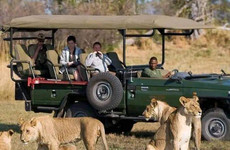 Unforgettable 3-day masai mara safari – stay in the heart of the wild Nairobi