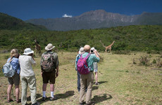 Arusha national park day tour Arusha