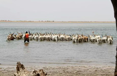 Bush and villages - a 8 day excursion around senegal out of dakar Mbour