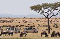 4 days lake nakuru masai mara camping safari Nairobi