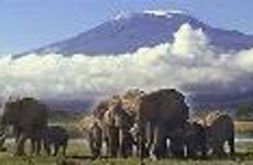 6 days masai mara, lake nakuru & amboseli national park Nairobi
