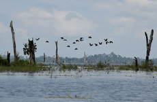 A la découverte du fleuve Sassandra avec AAEN-CI Abidjan