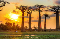 West and south of madagascar in 13 days Antananarivo
