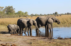 3-day fully catered mokoro (canoe) safari okavango delta Maun