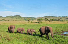 East africa safari bookers Nairobi