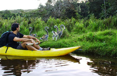 Discover east of madagascar pangalane channel Antananarivo