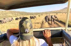 Camping safari to manyara, serengeti and ngorongoro. Arusha