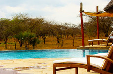 5 days tanzania luxury safari Arusha