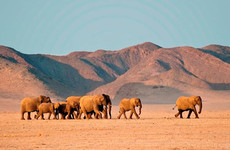 4 Days Damaraland & Skeleton Coast-Namibia(Lodging) Windhoek