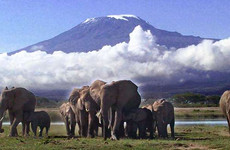 From roof of africa head to the bush & the beach Arusha