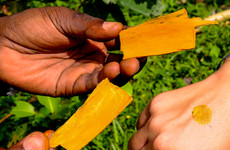 Ecotours kpalime Lomé