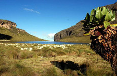  mount kenya climbing chogoria up down siromon 6 days Nairobi