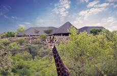 Réserve naturelle de Mokodi Gaborone