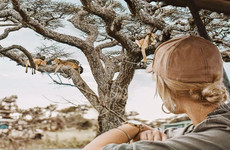 Day trip to lake manyara national park Arusha