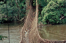 A la découverte des mystères de man Man