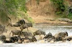 3days maasai mara budget safari Nairobi