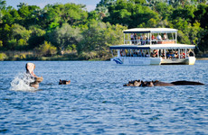 Zambezi river cruises Livingstone