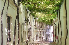 Sefrou and bhalil day trip from fez Fes