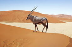 3 days sossusvlei safari (lodging) namibia Windhoek