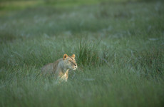 2-day tarangire & ngorongoro safari from zanzibar Arusha