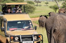 2 days budget camping safari tarangire and ngorongoro Moshi