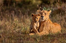 3 days maasai mara camping safari. Mombasa