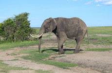 3 days masai mara daily departures Nairobi