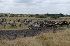 3 days masai mara safari Nairobi