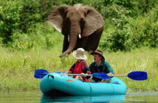 3nights /4days - zambezi island canoe trail Lusaka